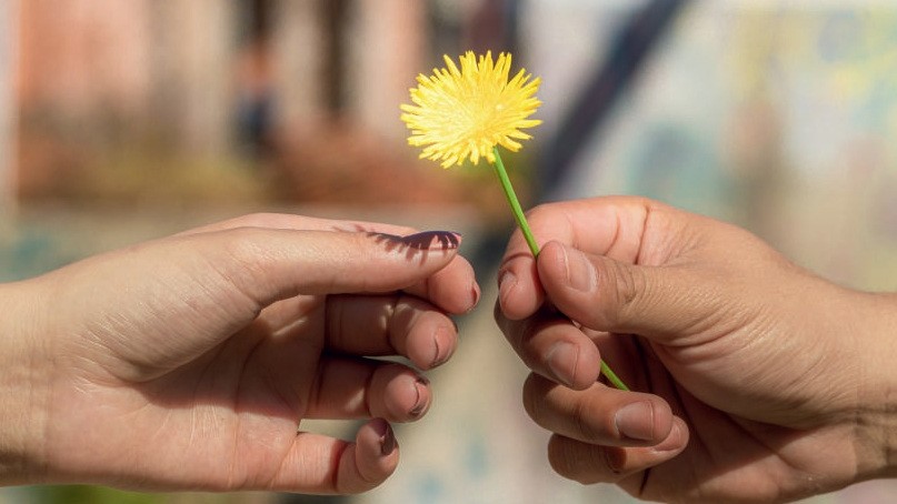 Hand mit gelber Blume