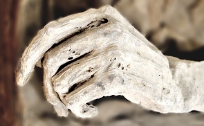 Mumienhand des Propstes Laurentius Voss